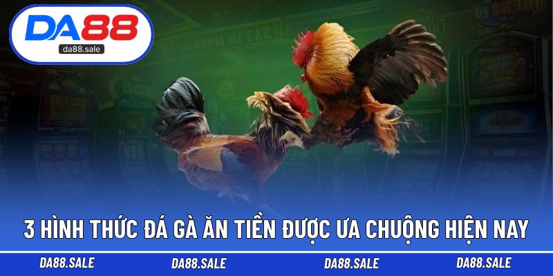 3 hình thức đá gà ăn tiền được ưa chuộng hiện nay