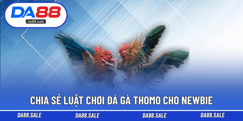 Chia sẻ luật chơi đá gà Thomo cho newbie