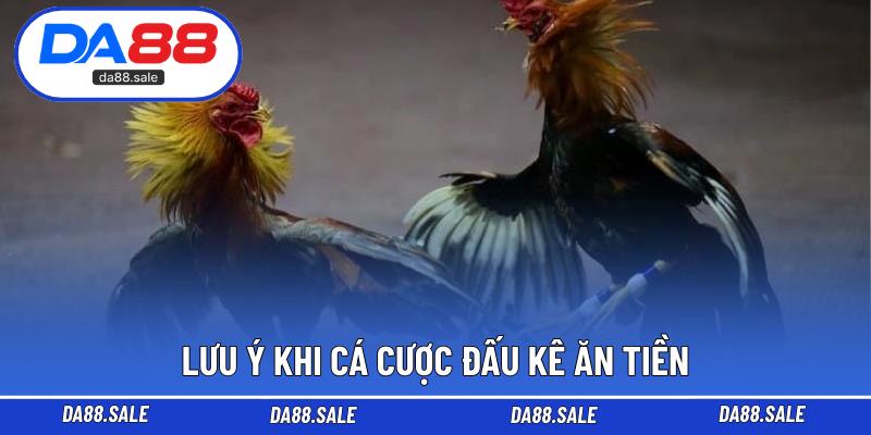 Lưu ý khi cá cược đấu kê ăn tiền