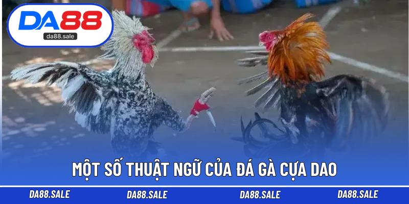 Một số thuật ngữ của đá gà cựa dao