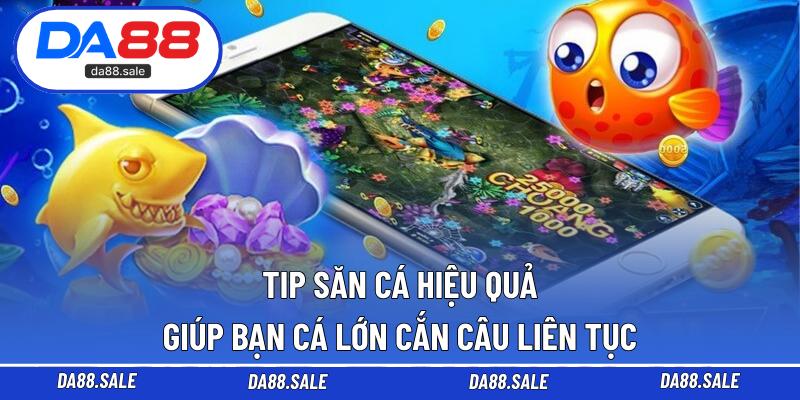 Tip săn cá hiệu quả giúp bạn cá lớn cắn câu liên tục